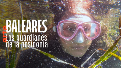 Baleares: Los guardianes de la posidonia Dokumentarfilm Untertiteln + Voice-Over Übersetzung