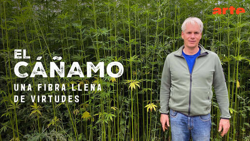 El cáñamo, una fibra llena de virtudes Dokumentarfilm Untertiteln + Voice-Over Übersetzung